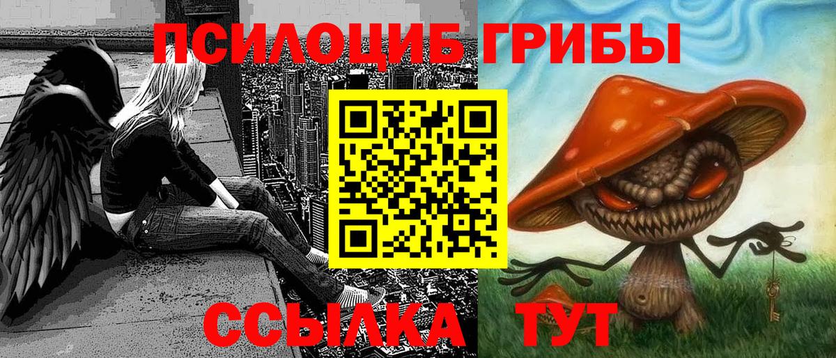 Галлюциногенные грибы прущие грибы Ногинск