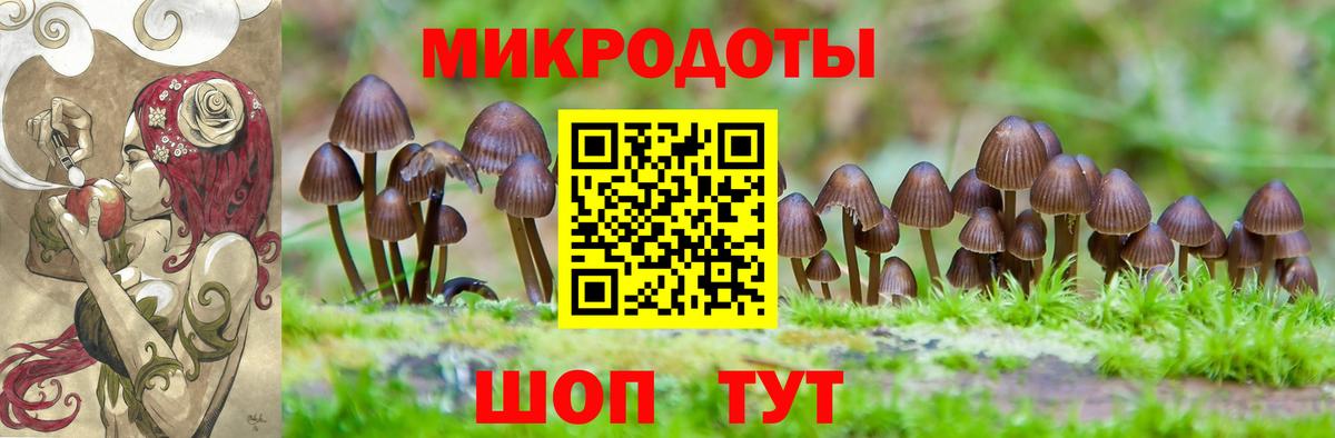 Галлюциногенные грибы Psilocybe  Вход с VPN  Ногинск 